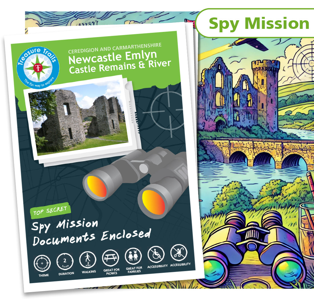 Treasure Hunt in Newcastle Emlyn - Solve Clues & Explore